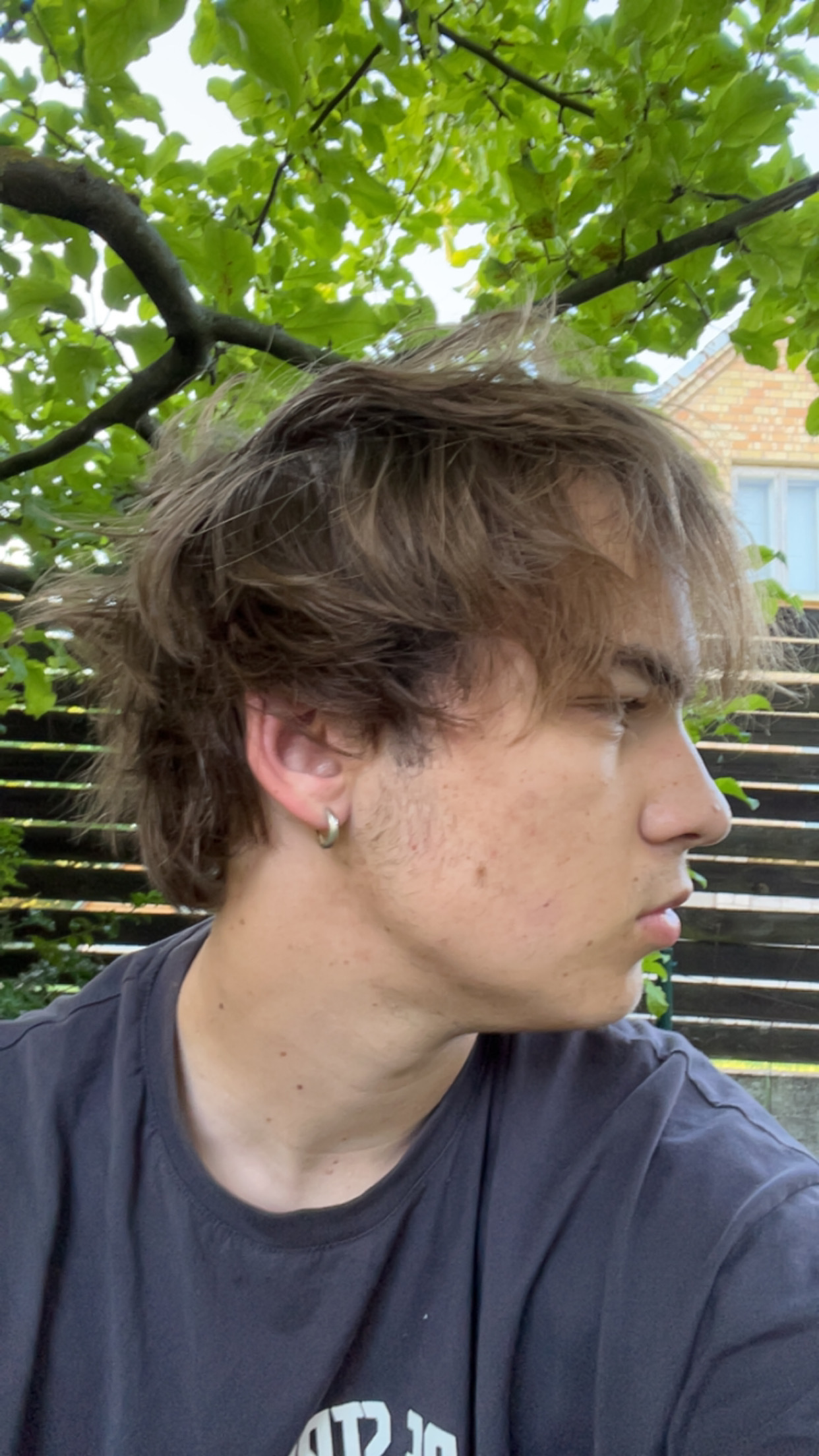 IMG 7244 IMG 7244