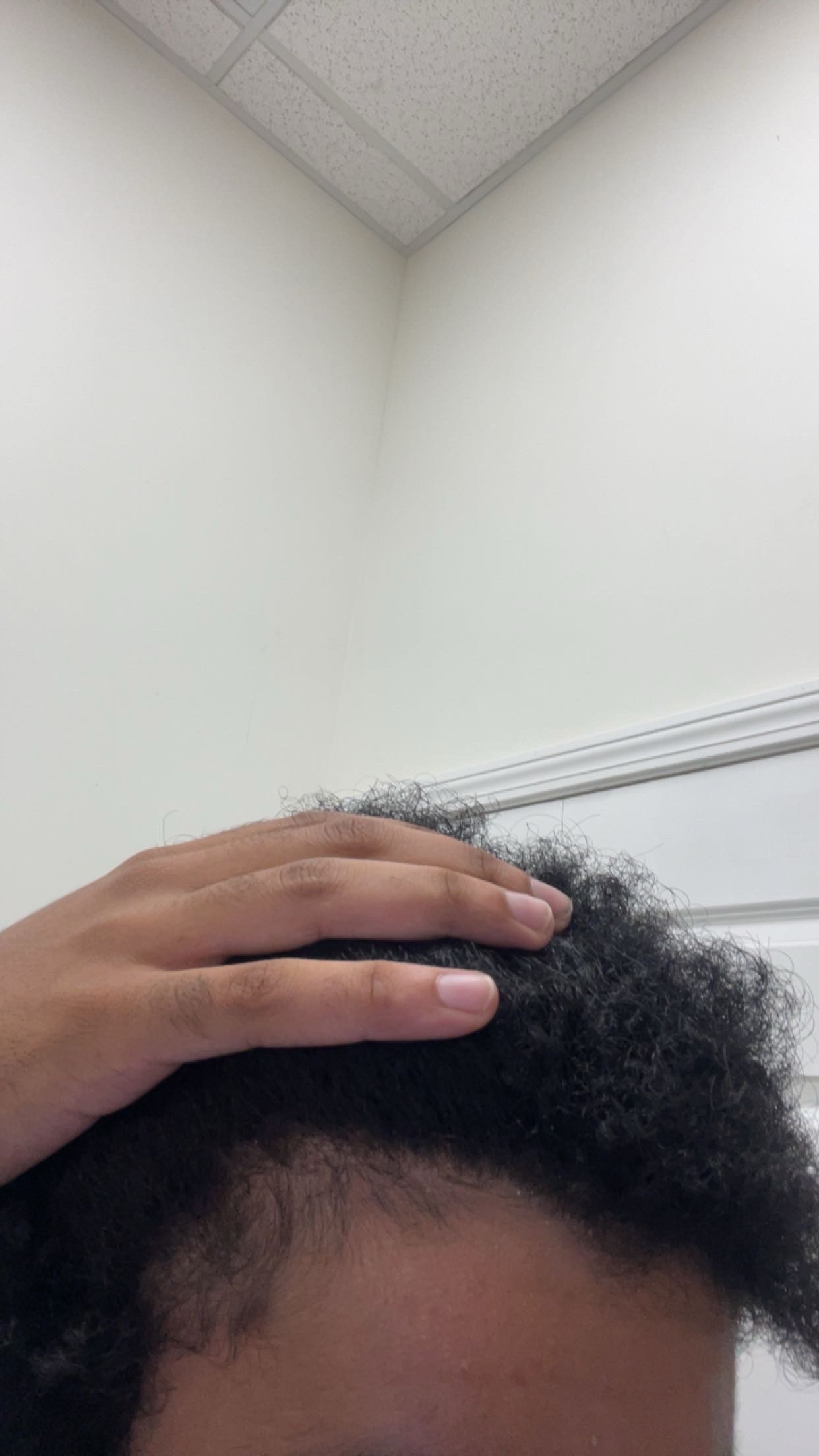 IMG 3769