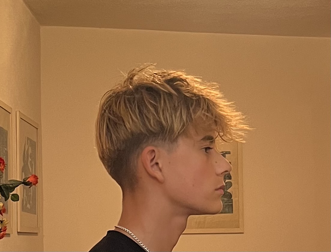 IMG 2925