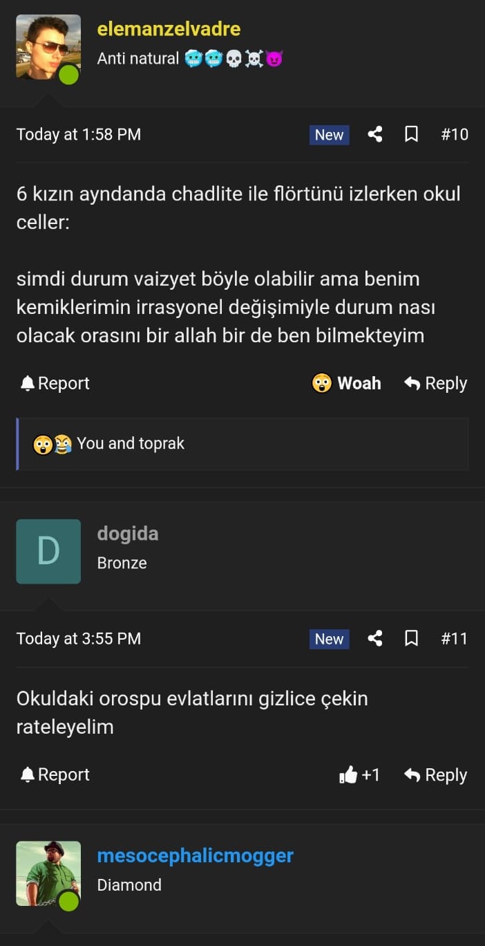 1753149859433