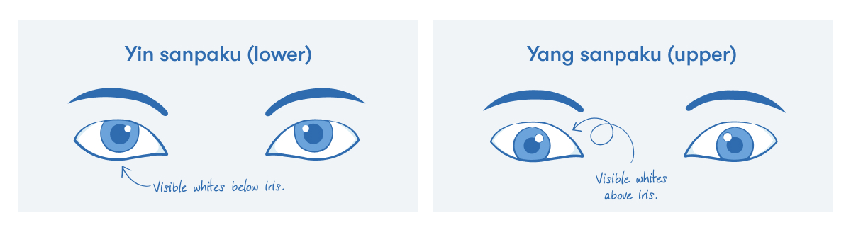 What are sanpaku eyes Image 1 What are sanpaku eyes Image 1