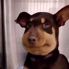 1753193069107