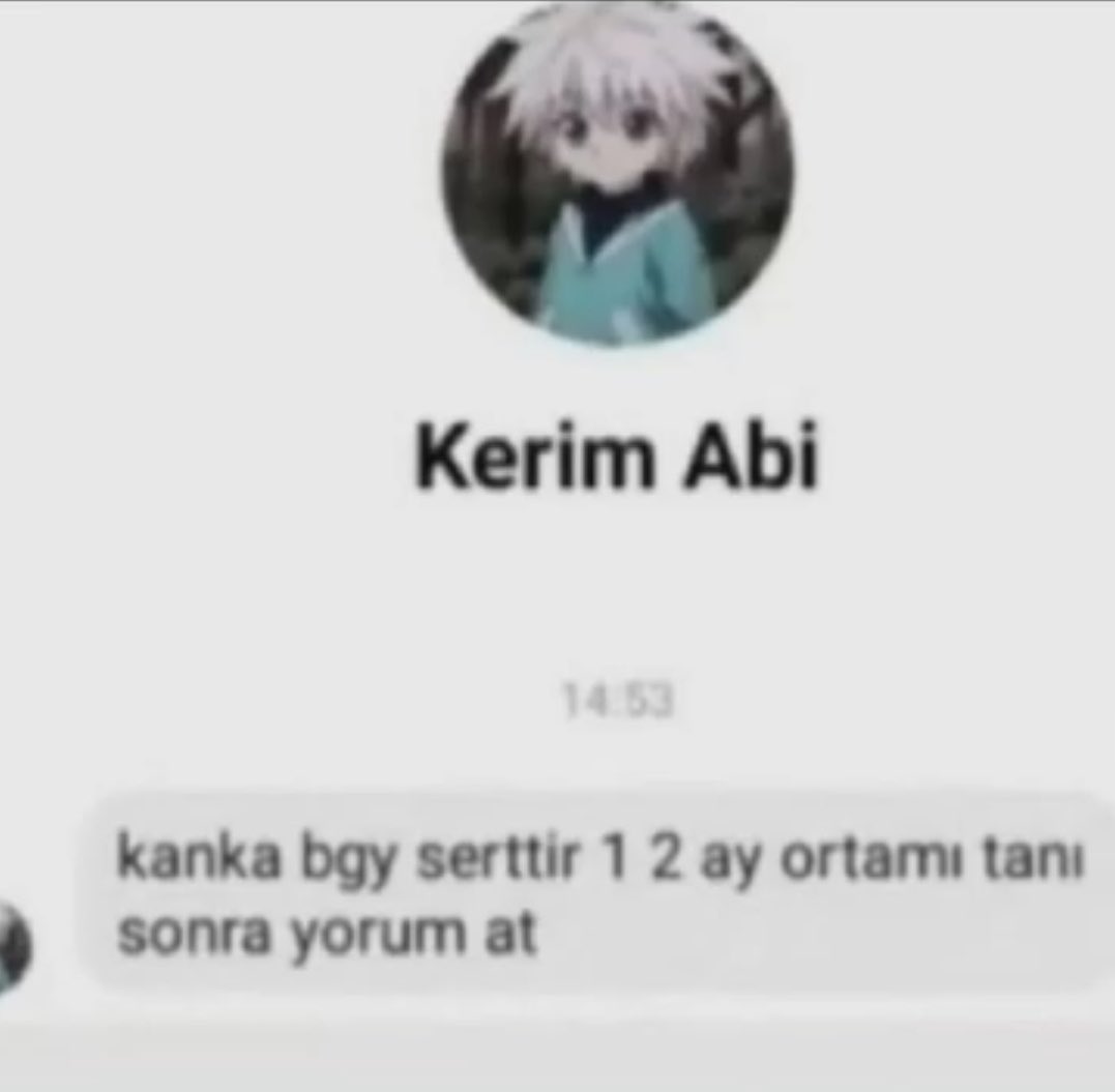 20250722 175308 20250722 175308
