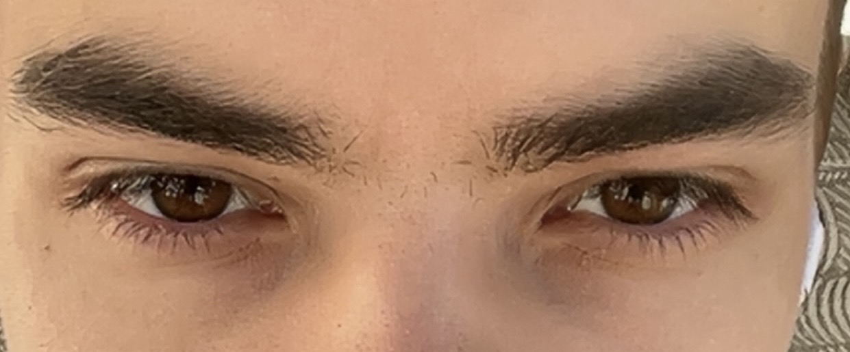 IMG 2213