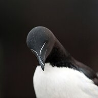 1753210687846