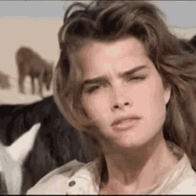 Brooke shields