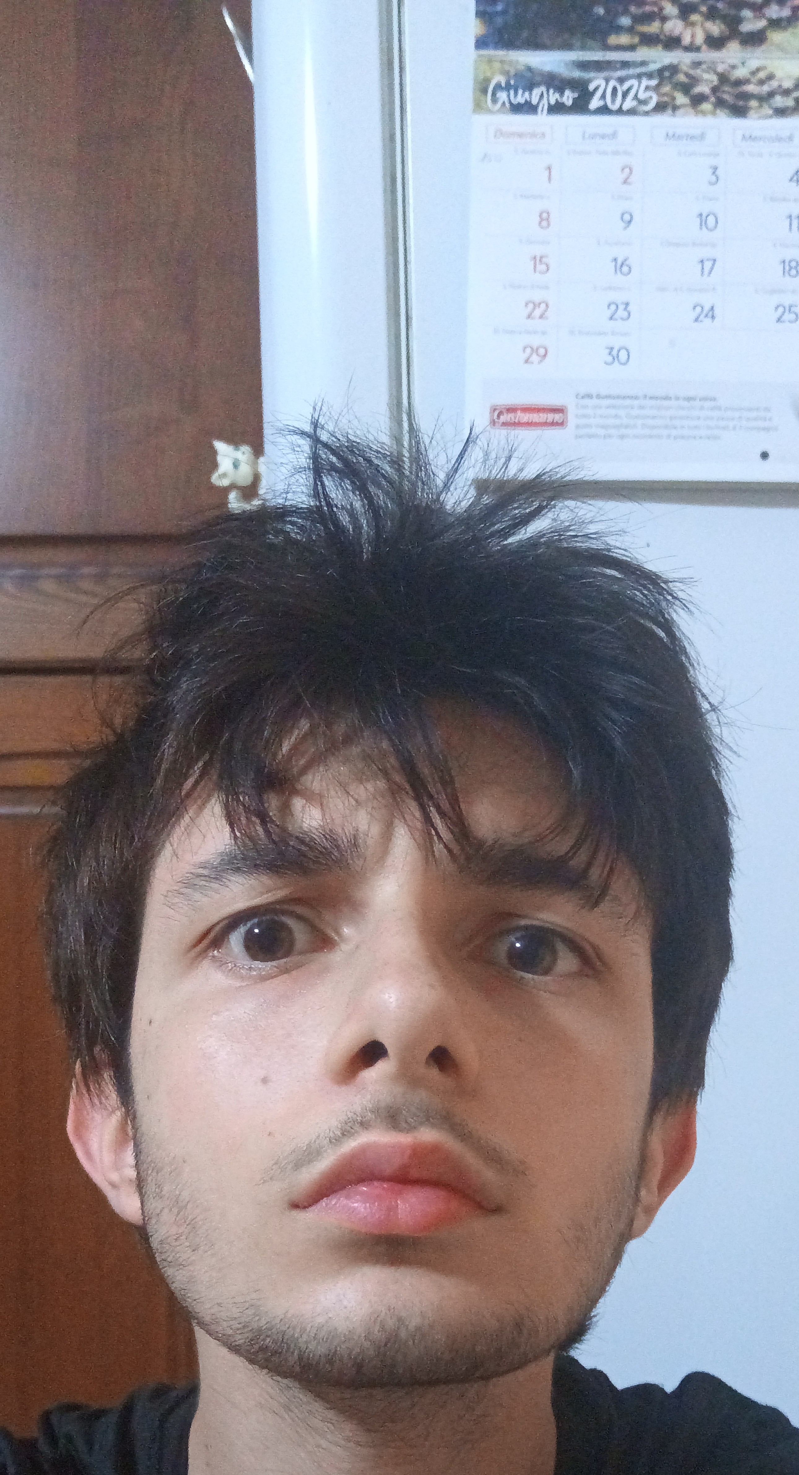 1000186041