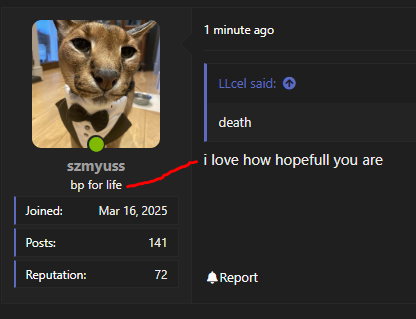 1753256832011