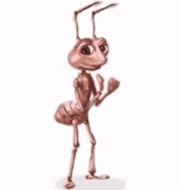 IMG 2516