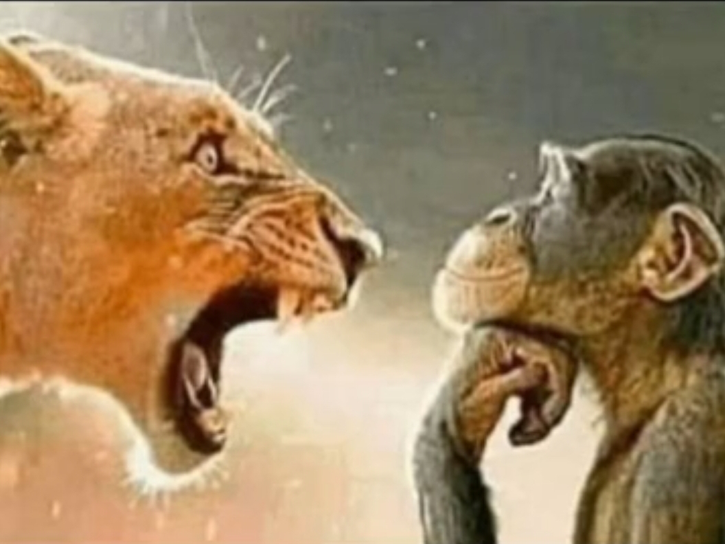 Screenshot 20250723 185119 TikTok