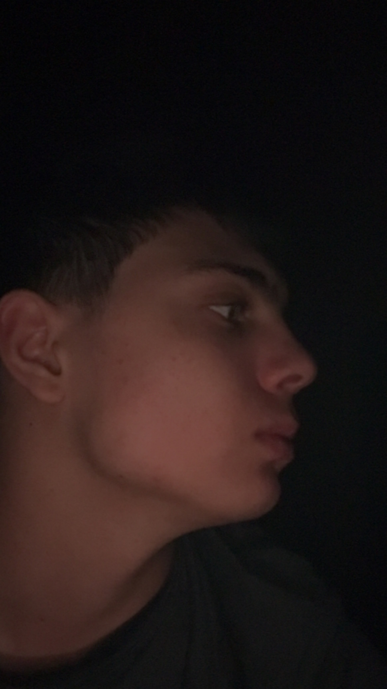 IMG 2245