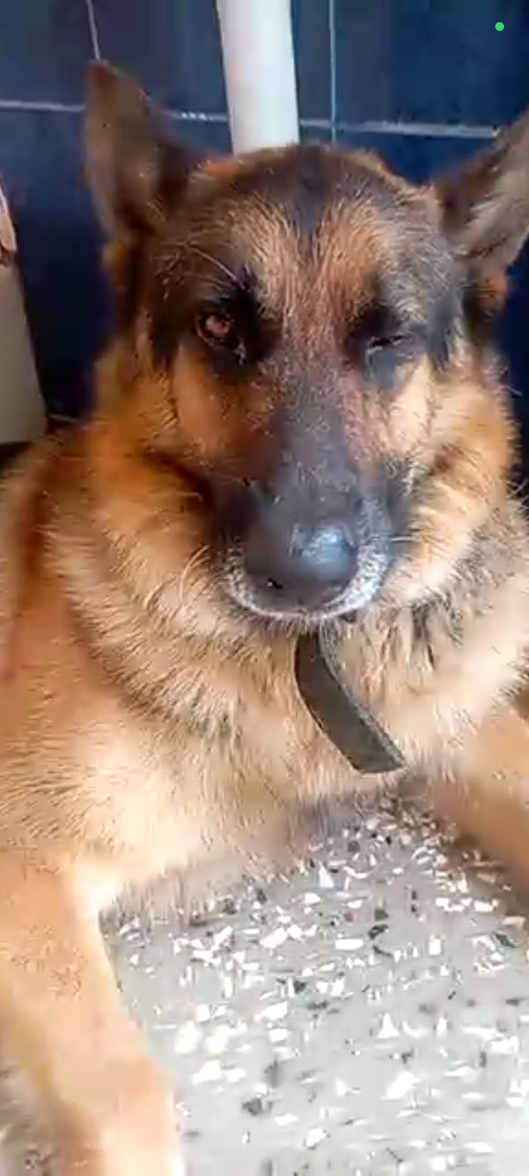 1000012425