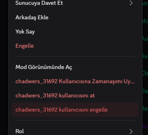 1753394206498