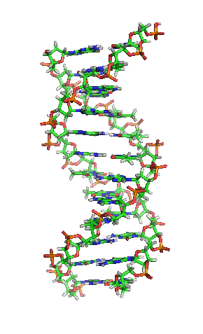 DNA orbit animated DNA orbit animated