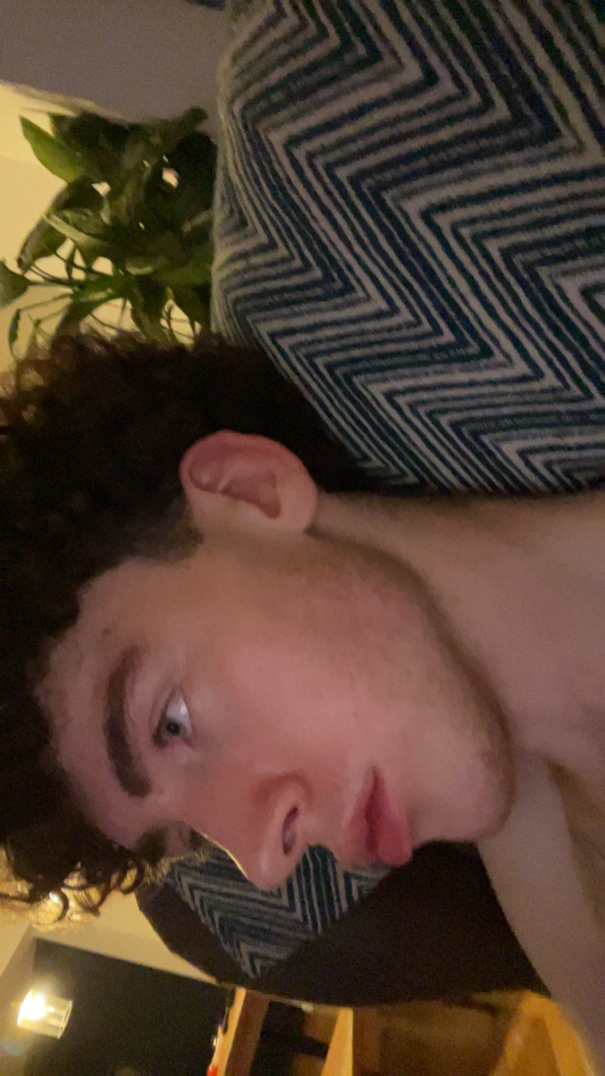 IMG 4657