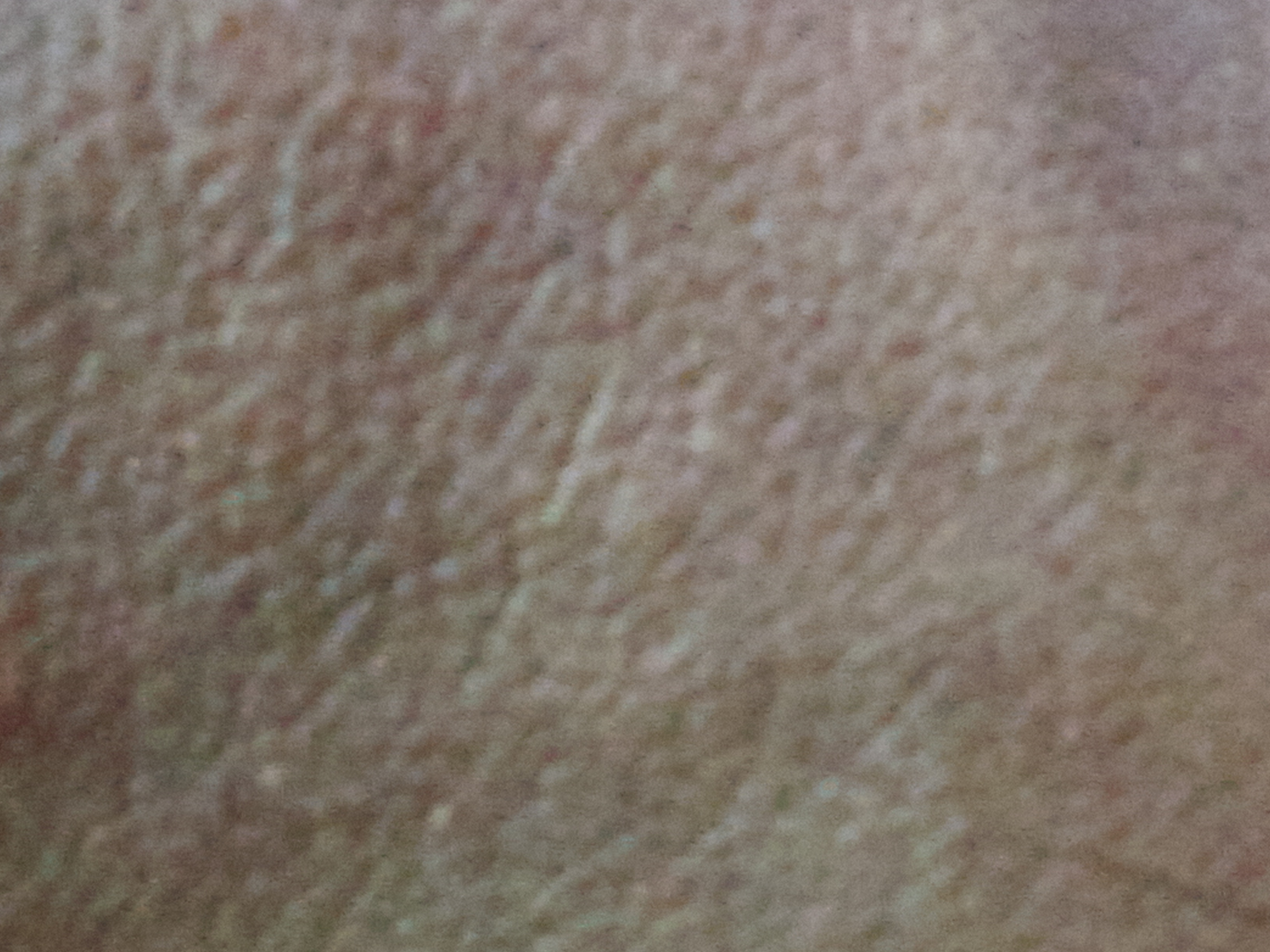 IMG 20250725 184657