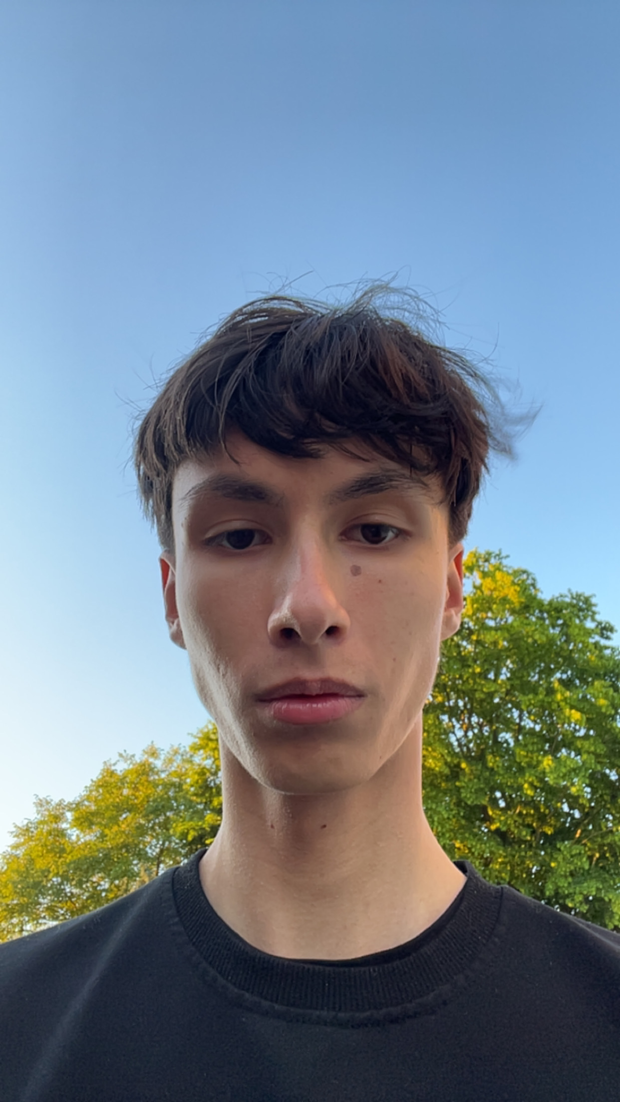 IMG 1641