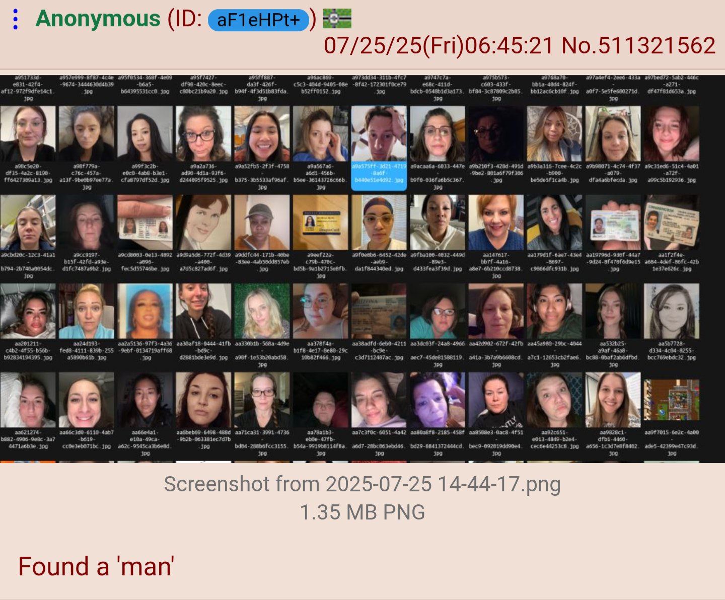 1753460598386