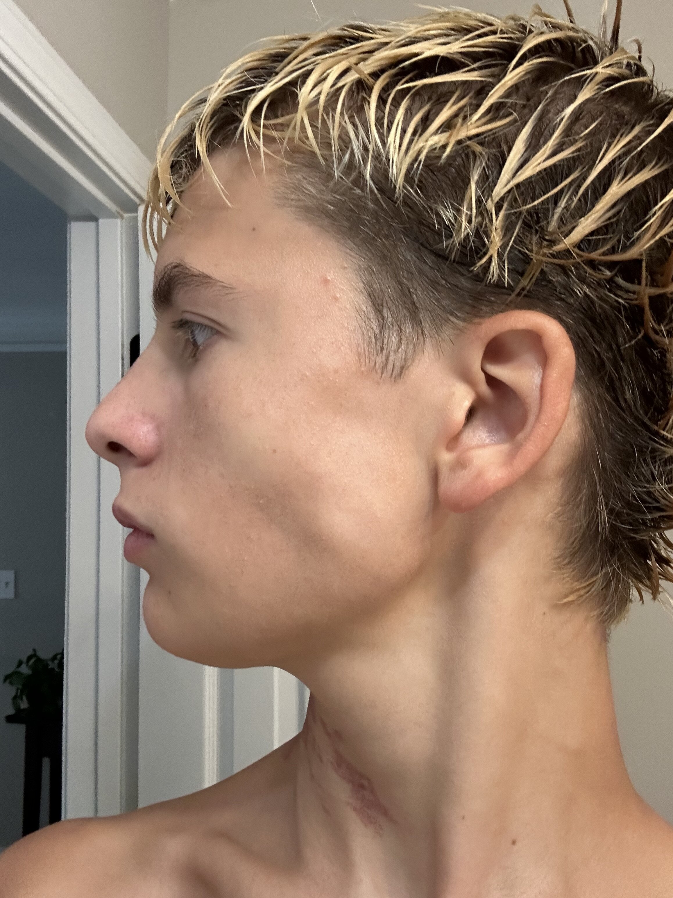 IMG 1355