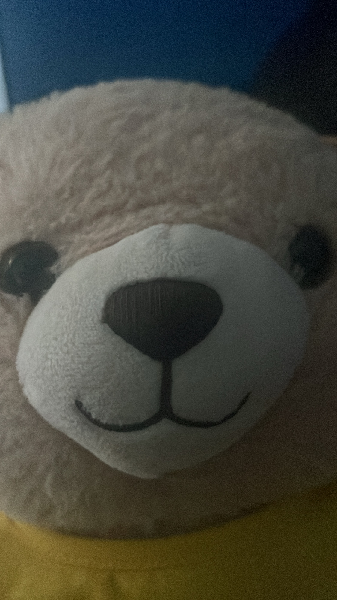 6ED7B1BA 46D1 4F4B 8BAA 98EED25A8AD1