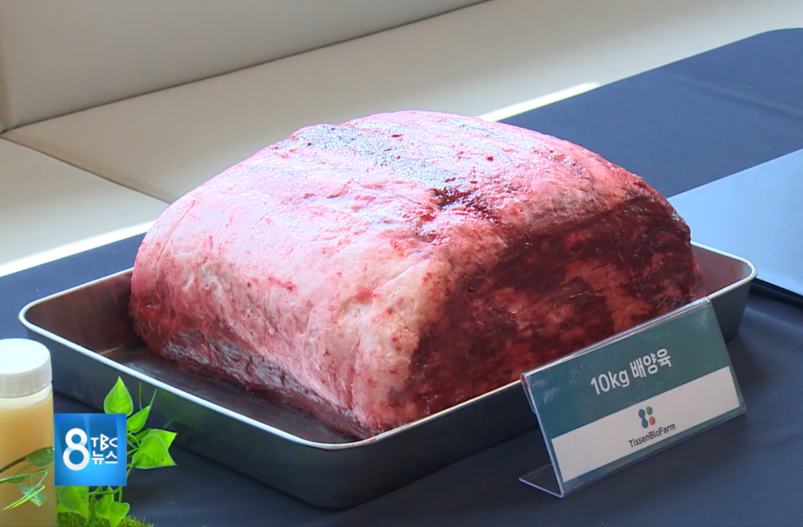 10kg cultivated meat