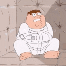 Family guy peter griffin 1