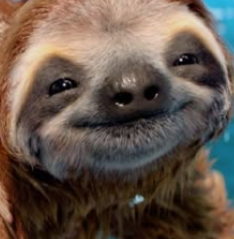 5647657fghfhgfghhgfsdfgdfgfdgfdg