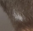 1753658531110