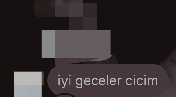 IMG 20250728 035740