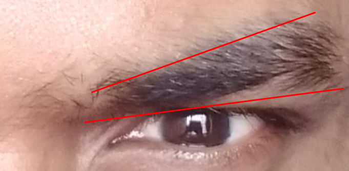 1753690599194
