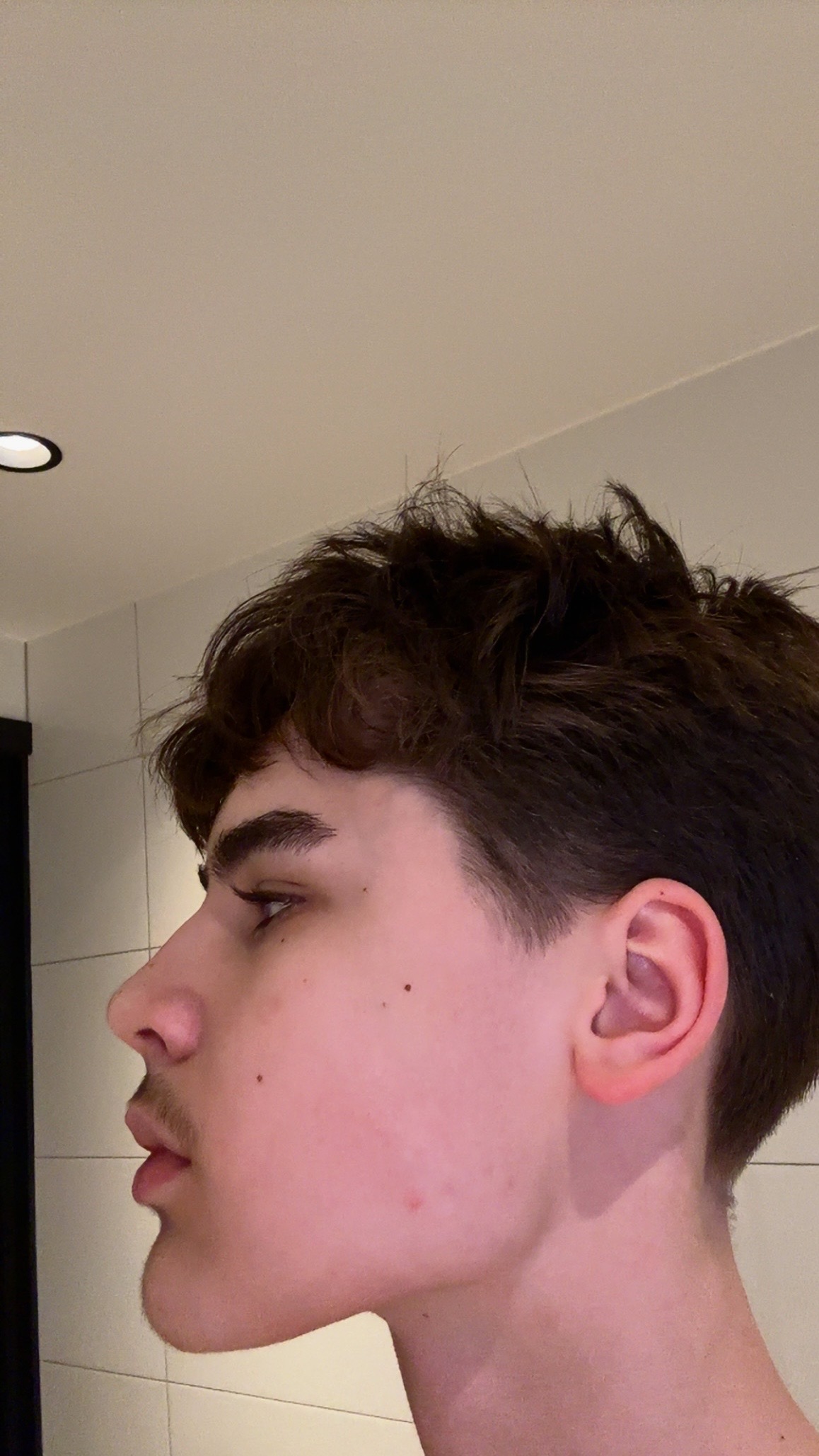 IMG 0868