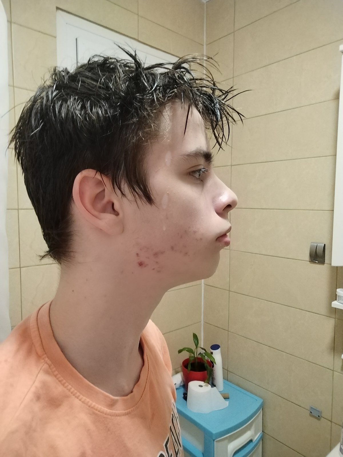 Picture 5