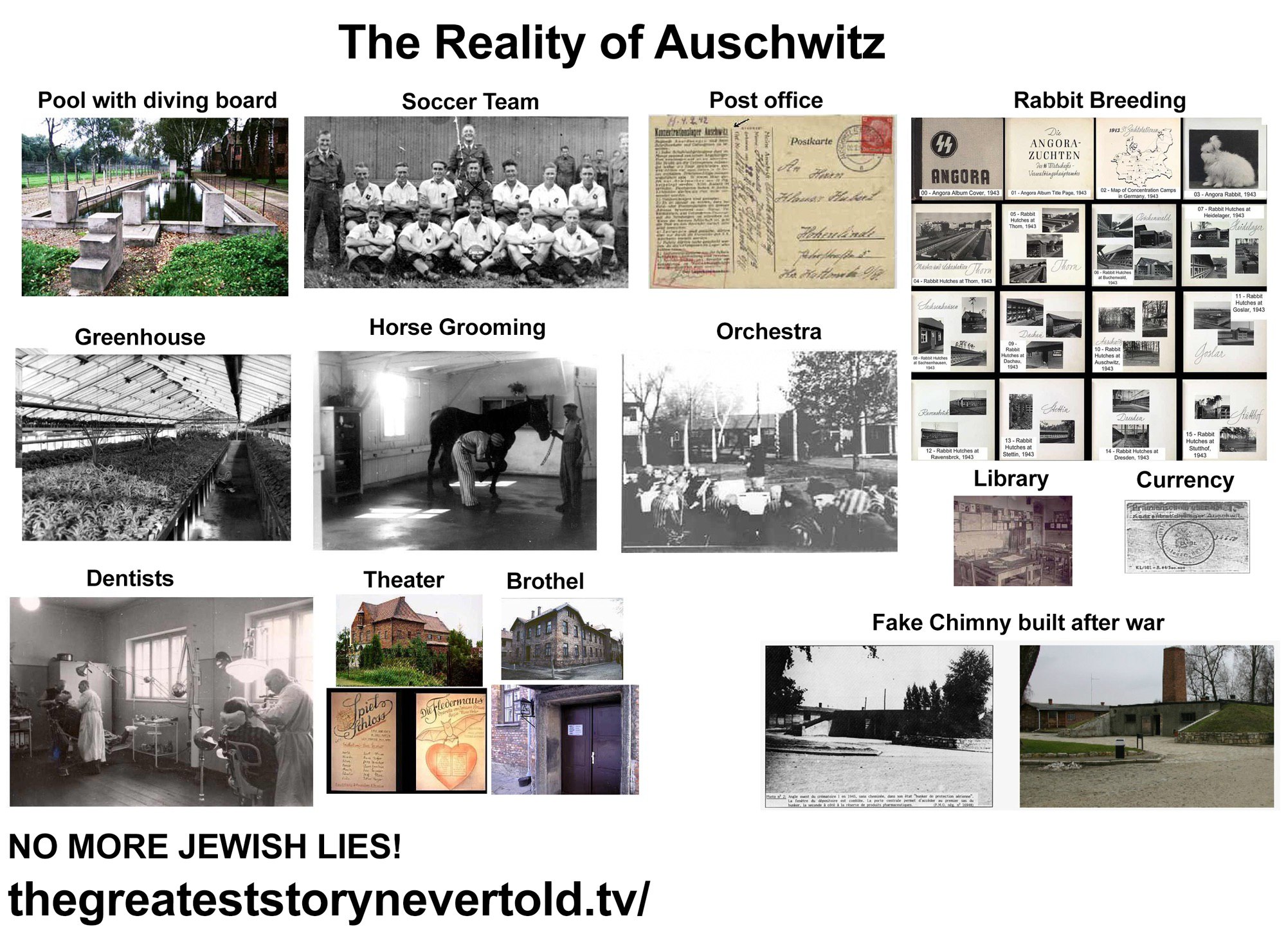 Auschwitz truth