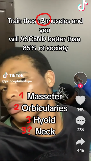 1753825788016