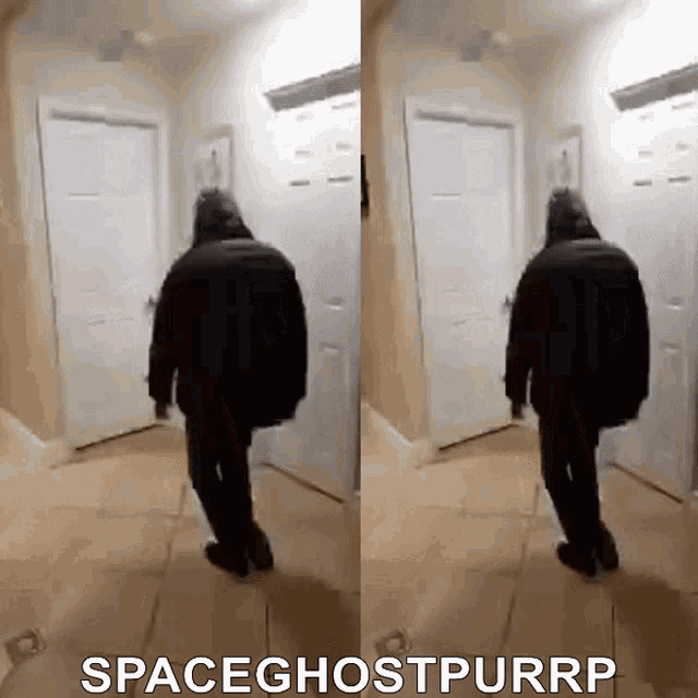 Spaceghostpurrp sgp