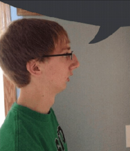 Birdcel