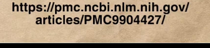 1753942240363