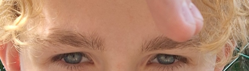 1000020063