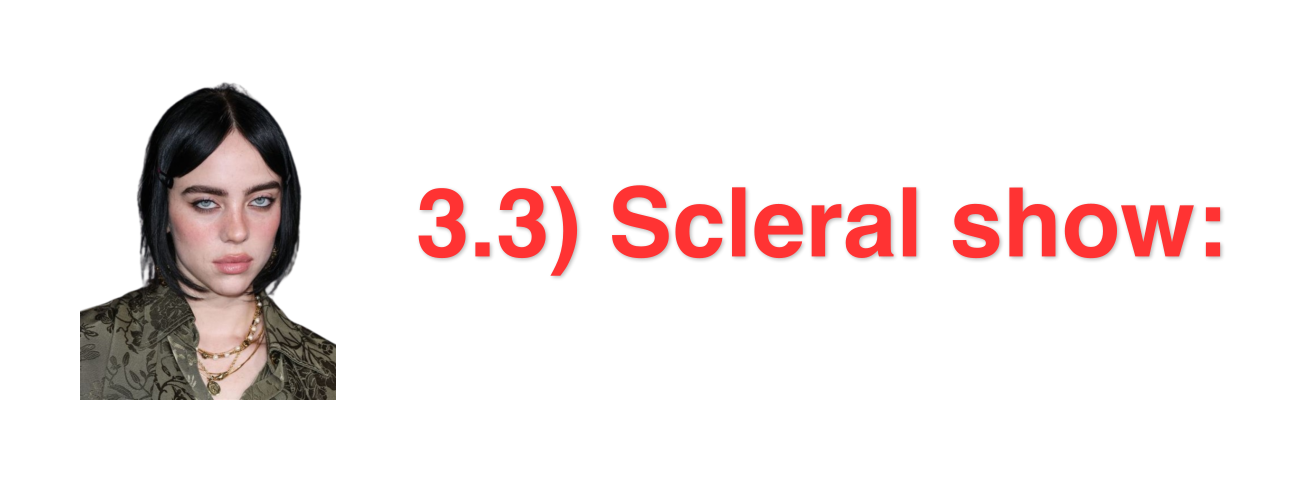 1753976535821 1753976535821