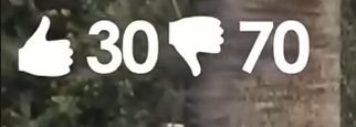 1753980980351 1753980980351