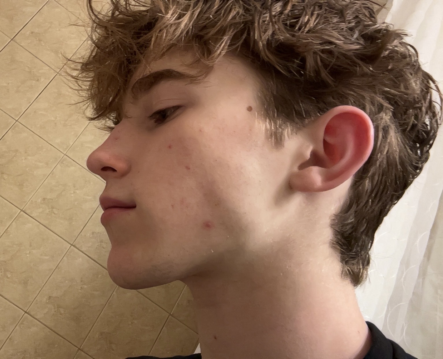 IMG 1114
