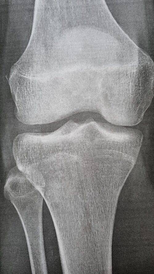 20250701_141925.jpg
