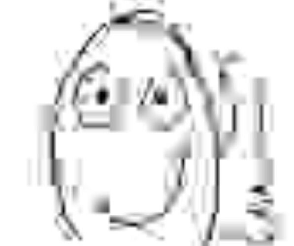 IMG_1309.jpeg