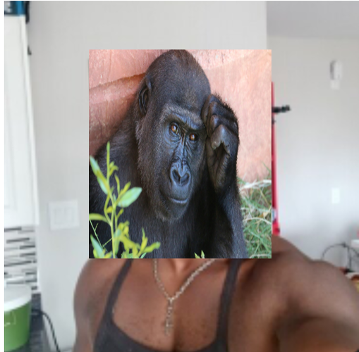 Monkeyboy