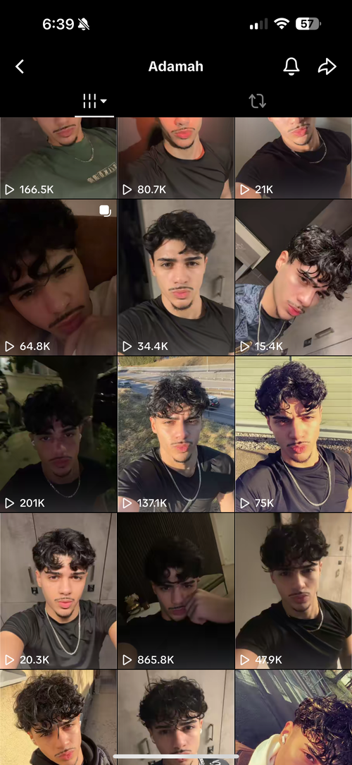 look a like 2.png