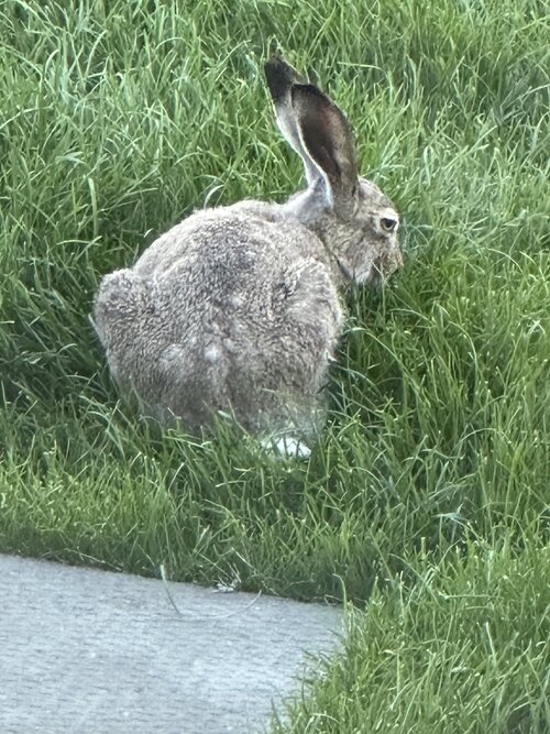 IMG 1805