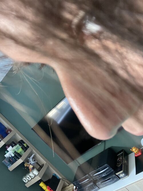IMG_2160.jpeg