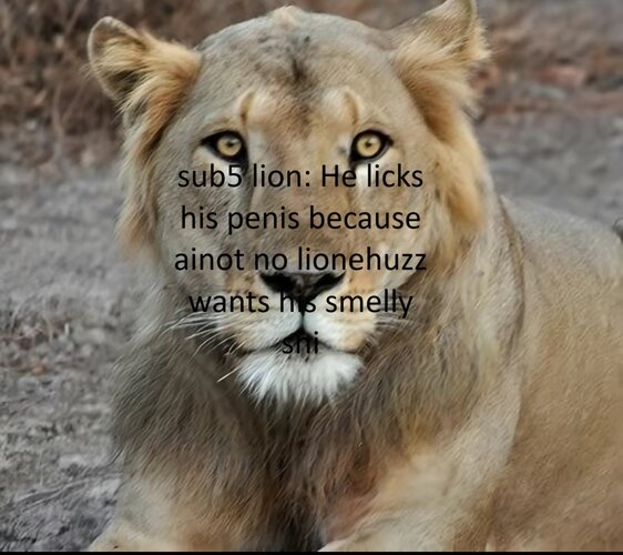 5112109_IMG_7614.jpeg