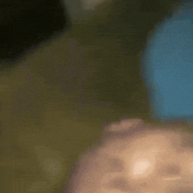 Giphy downsized large