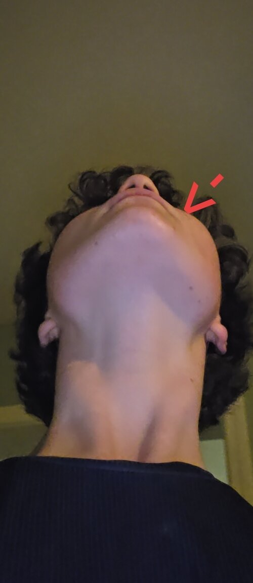 5926.jpg